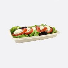 RAVIER CANNE A SUCRE NATUREL 160X230X30MM - 600ML (4X75) photo du produit