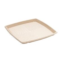PLATEAU PULPE CANNE A SUCRE NATUREL 40X40CM (1X25) photo du produit
