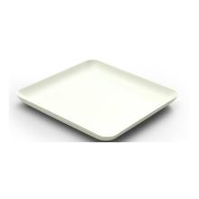 BAGASTRO ASSIETTE CANNE A SUCRE BLANCHE 160X160X15MM (12X40) photo du produit