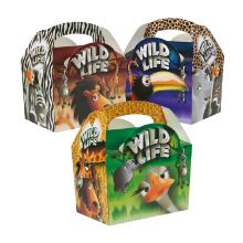 LUNCH/PARTYBOX CARRYPACK WILDLIFE 152X100X102MM (MIX 3 DESSINS) (1X250) photo du produit