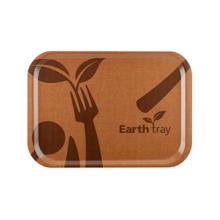 PLATEAU EARTH TRAY 1/1 GN FRINKET AS 530X325MM (25X1) photo du produit