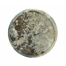 ASSIETTE PORCELAINE GURAL FOREST D.290MM (6) photo du produit