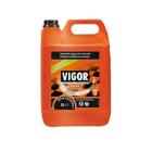 VIGOR ORIGINAL (2X5L) photo du produit