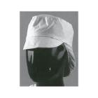 PET MET HAARNET WIT (10X100) artikelfoto