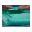 FEUILLE D'EMBALLAGE RELIANCE CREPE SENSITIVE VERT 90X90CM (252) photo du produit