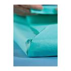 FEUILLE D'EMBALLAGE EN NONTISSE RELIANCE DEXTEX 200 VERT 120X120CM (126) photo du produit