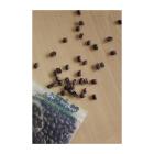 SACHETS MINIGRIP BIOSOURCE 200X300MM (1000) photo du produit