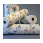 DRAP D'EXAMEN 2 PLIS POUR ENFANTS MICRO EMBOSSED GLUED 50CMX46M 135CPS (9) photo du produit