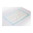 ALESE EN PULPON MEDI INN CLASSIC 40X60CM (20X15) photo du produit