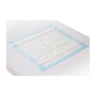 ALESE EN PULPON MEDI INN CLASSIC 90X60CM (4X25) photo du produit