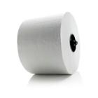 PAPIER TOILETTE BLACK SATINO ROUL.SYSTEME BLANC 2PLIS 100M 725CPSST10 (24) photo du produit