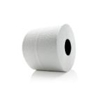 PAPIER TOILETTE BLACK SATINO BLANC 2PLIS 400CPS CT10 (10X4) photo du produit