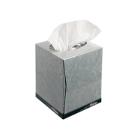 FACIAL TISSUE KLEENEX cubuBLANC 2PLIS 21X20.1CM (12X88) photo du produit