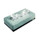 FACIAL TISSUE KLEENEX BLANC 2PLIS 21.5X18.5CM (21X100) photo du produit