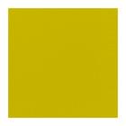 SERVIETTE DUNI PAP. KIWI 40X40CM 3PLIS 1/4 (8X125) photo du produit