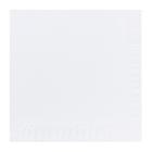 SERVIETTE DUNI PAP. BLANC 33X33CM 3PLIS 1/4 (8X125) photo du produit