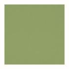 SERVIETTE DUNI PAP. KIWI 24X24CM 2PLIS 1/4 (8X300) photo du produit
