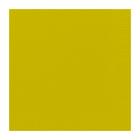 SERVIETTE DUNI PAP. KIWI 40X40CM 2PLIS 1/4 (10X125) photo du produit