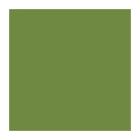 SERVIETTE DUNI PAP. LEAF GREEN 33X33CM 2PLIS 1/4 (16X125) photo du produit
