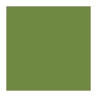 SERVIETTE DUNI PAP. LEAF GREEN 24X24CM 3PLIS 1/4 (8X250) photo du produit