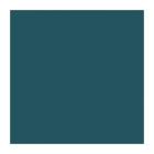 SERVIETTE DUNI PAP. OCEAN TEAL 33X33CM 1/4 3PLIS (8X125) photo du produit