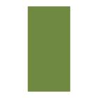 SERVIETTE DUNI PAP. LEAF GREEN 33X33CM 3PLIS 1/8 (4X250) photo du produit