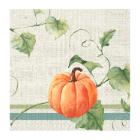 SERVIETTE DUNI PAP. HERITAGE HARVEST 33X33CM 3 PLIS ¼ (10X50) photo du produit