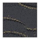 SERVIETTE DUNISOFT SOFT GOLDEN STARDUST BLACK 40X40CM 1/4 (6X60) photo du produit