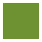 SERVET BIO DUNISOFT LEAF GREEN 40X40CM 1/4 (6X60) artikelfoto