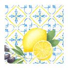 SERVIETTE DUNI PAP. MEDITERRIAN 33X33CM 3 PLIS 1/4 (10X50) photo du produit