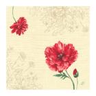 SERVIETTE DUNISOFT MONIQUE 40X40CM 1/4 (12X60) photo du produit