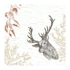 SERVIETTE BIO DUNISOFT WOOD & DEER 40X40CM 1/4 (6X60) photo du produit