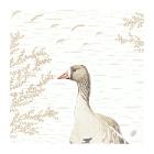 SERVIETTE BIO DUNISOFT WOOD&GOOSE 40X40CM 1/4 (6X60) photo du produit