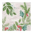 SERVIETTE DUNI PAP. WINTER GREENERY 33X33CM 3 PLIS ¼ (10X50) photo du produit