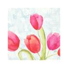 SERVIETTE DUNI PAP. PAINTED TULIPS 33X33CM 1/4 3PLIS (4X250) photo du produit