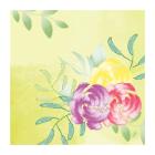 SERVET BIO DUNISOFT SOFT TROPICS 40X40CM 1/4 (6X60) artikelfoto