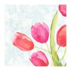 SERVIETTE BIO DUNISOFT PAINTED TULIPS 40X40CM 1/4 (6X60) photo du produit
