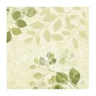 SERVIETTE BIO DUNISOFT PAISLEY LEAVES 40X40CM 1/4 (6X60) photo du produit