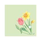 SERVIETTE BIO DUNISOFT SPRING MELODY 40X40CM 1/4 (6X60) photo du produit