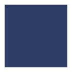 SERVIETTE DUNI PAP. BLEU FONCE 33X33CM 3PLIS 1/4 (4X250) photo du produit
