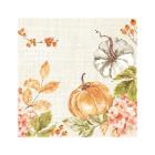 SERVIETTE BIO DUNISOFT SPICY PUMPKIN 40X40CM 1/8 (PLIAGE LIVRET) (6X60) photo du produit