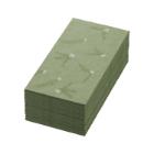 SERVIETTE BIO DUNISOFT NOEL PISTACHIO 40X40CM 1/8 (PLIAGE LIVRET) (6X60) photo du produit