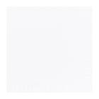 SERVIETTE DUNI PAP. BLANC 40X40CM 1/8 3PLIS (PLIAGE LIVRET) (4X250) photo du produit