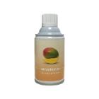 DESODORISANT EDGE REFILL MANGUE (12X243ML) photo du produit