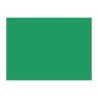 SET DE TABLE PAPIER FOREST (VERT POMME) 30X40CM (4X250) photo du produit