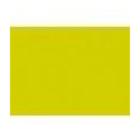 SET DE TABLE DUNI PAP. KIWI 30X40CM (4X250) photo du produit