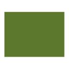SET DE TABLE PAPIER LEAF GREEN 30X40CM (4X250) photo du produit