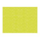 SET DE TABLE BIO DUNICEL ECO GRAPHICS KIWI 30X40CM (5X100) photo du produit