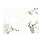 SET DE TABLE DUNI BIO DUNICEL WOOD & DEER 30X40CM (5X100) photo du produit