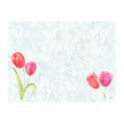 SET DE TABLE BIO DUNICEL PAINTED TULIPS 30X40CM (5X100) photo du produit